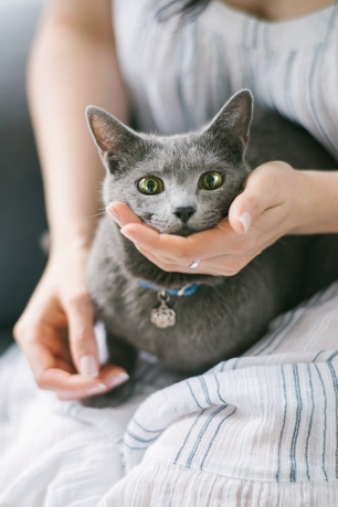 Сборы невесты