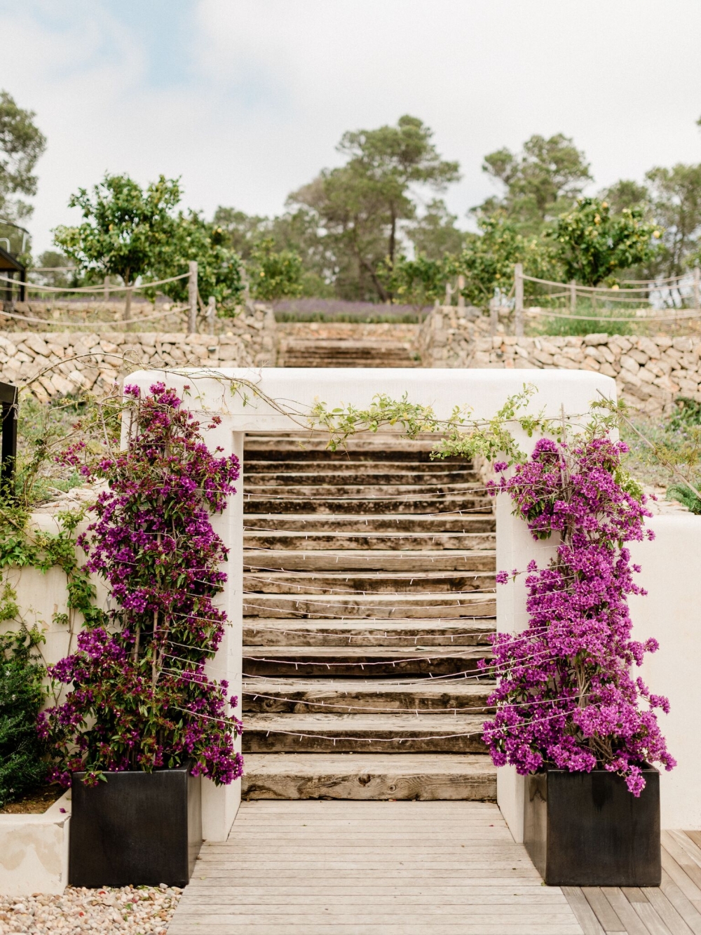 bougainvillea, вертикальная клумба из паллет, цветочный забор картинки,  петунии в саду, ящик для цветов из паллетов, летние цветы в саду, Свадебное  агентство Москва