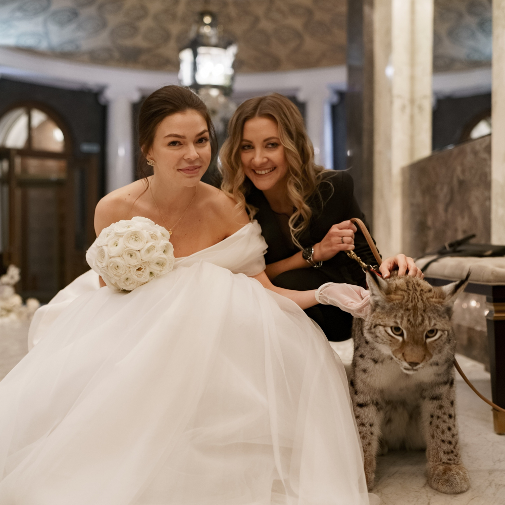 Организатор всегда рядом 