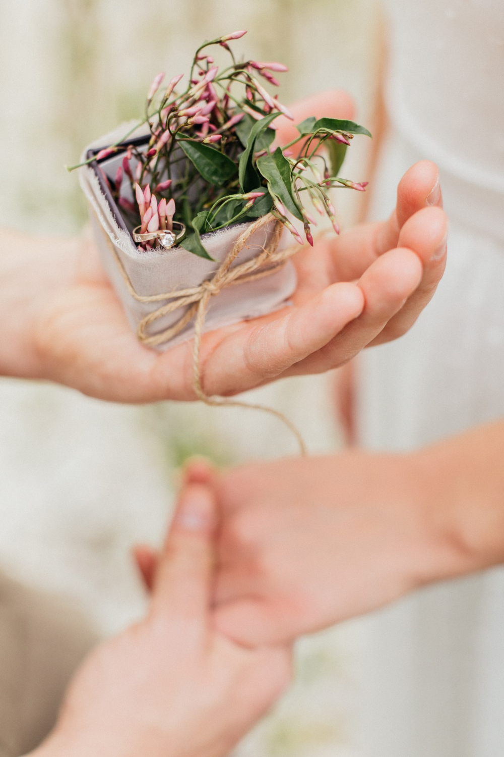 Предложение в Италии.
