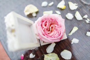 Кольца в милой цветочной коробочке