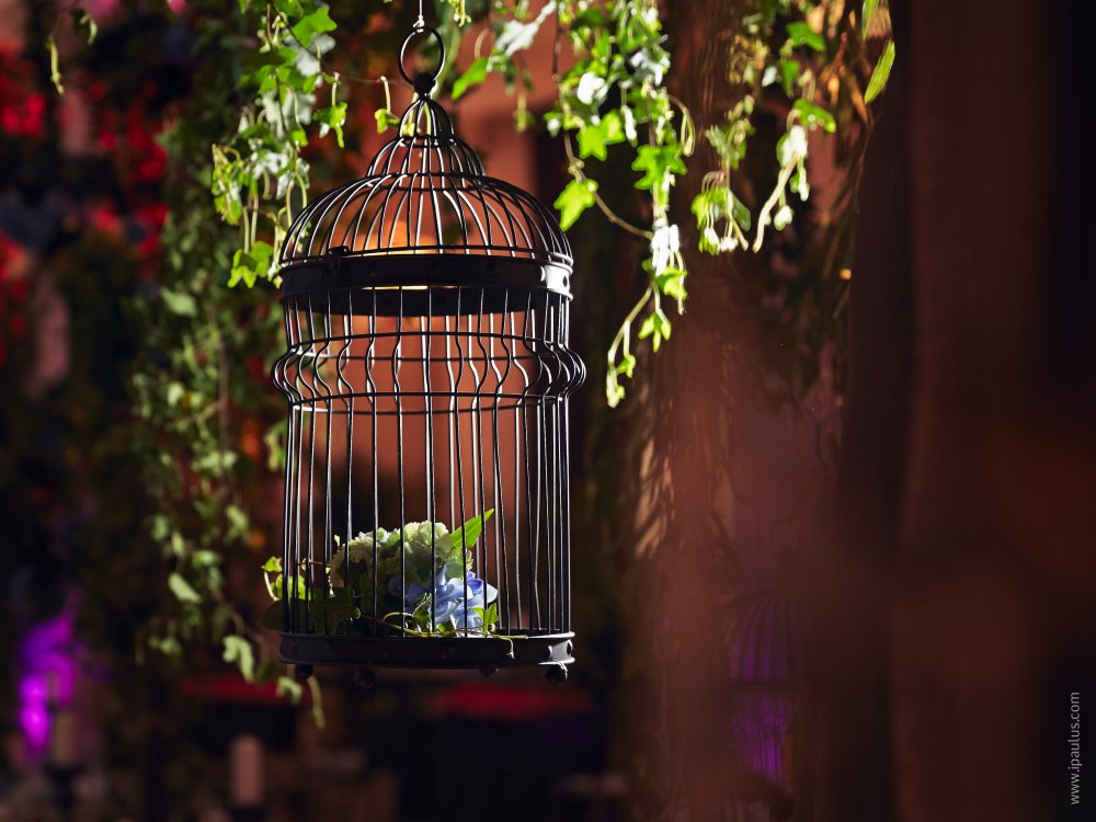 Свадьба «Fairy Forest» в Крокус Сити Молле.