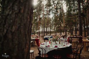 Свадьба под открытым небом среди сосен