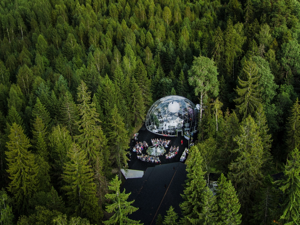 Свадьба Даши и Миши #моястихиялюбовь