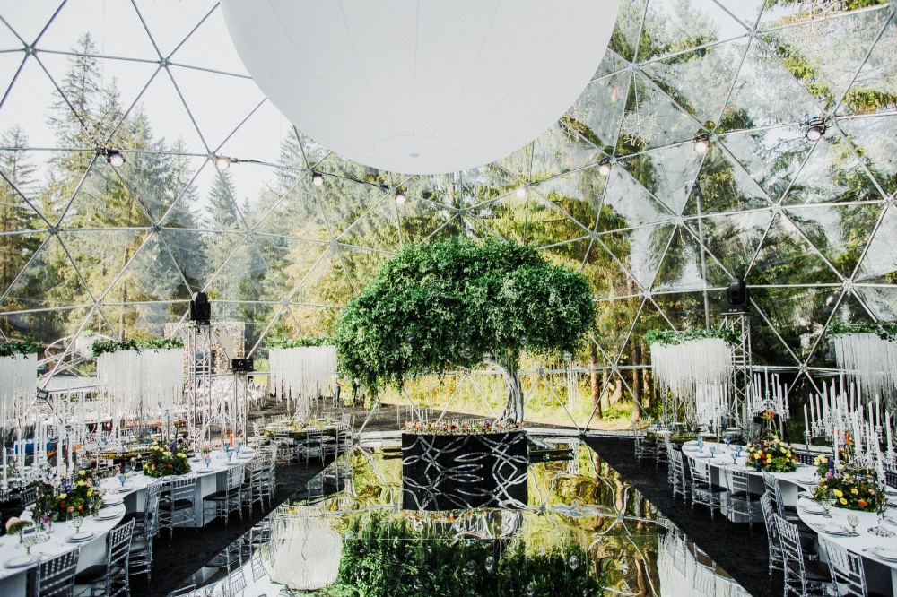 Свадьба Даши и Миши #моястихиялюбовь