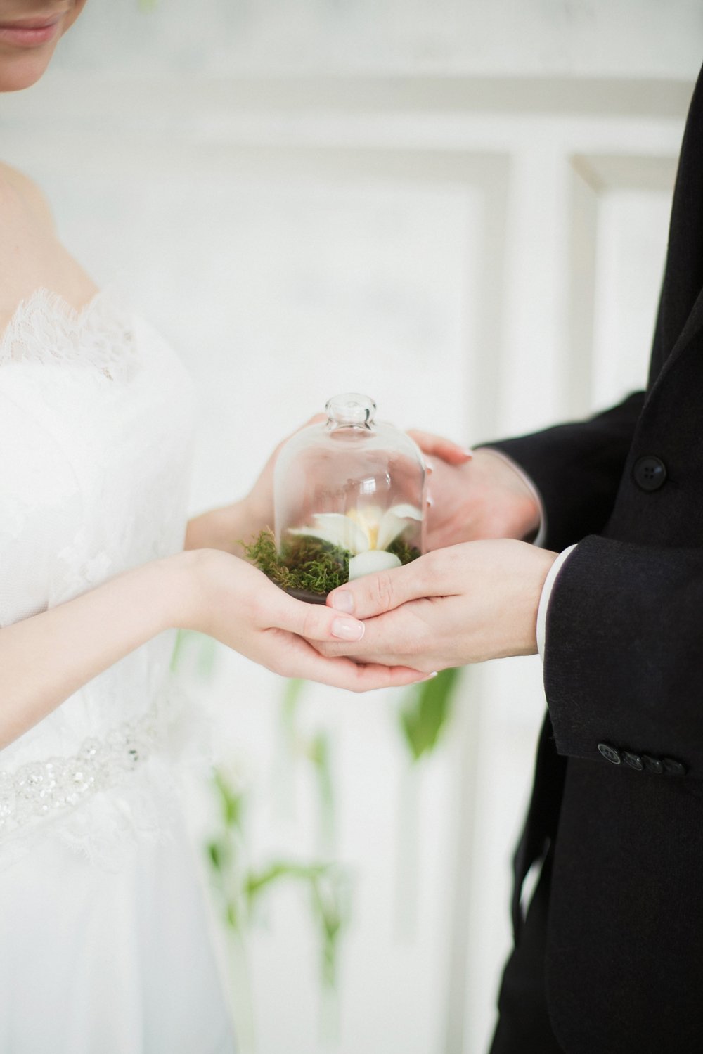 Описание фотографии