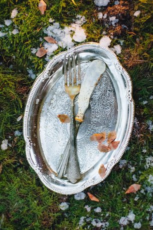 Серебряные приборы