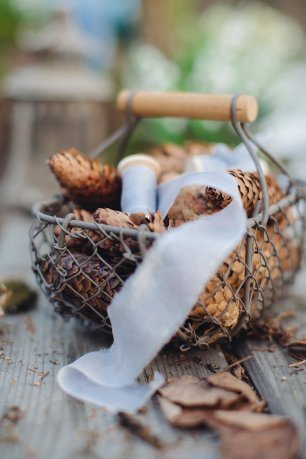 Шелковые ленты и шишки