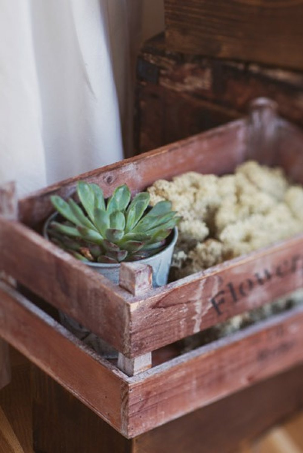 Свадьба в стиле Эко-шик
Фотограф Екатерина Моисеева