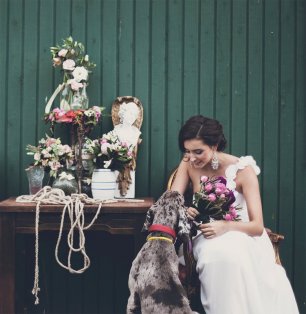 Дог Вафля и невеста Аня