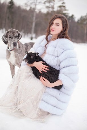 Зимняя сказка