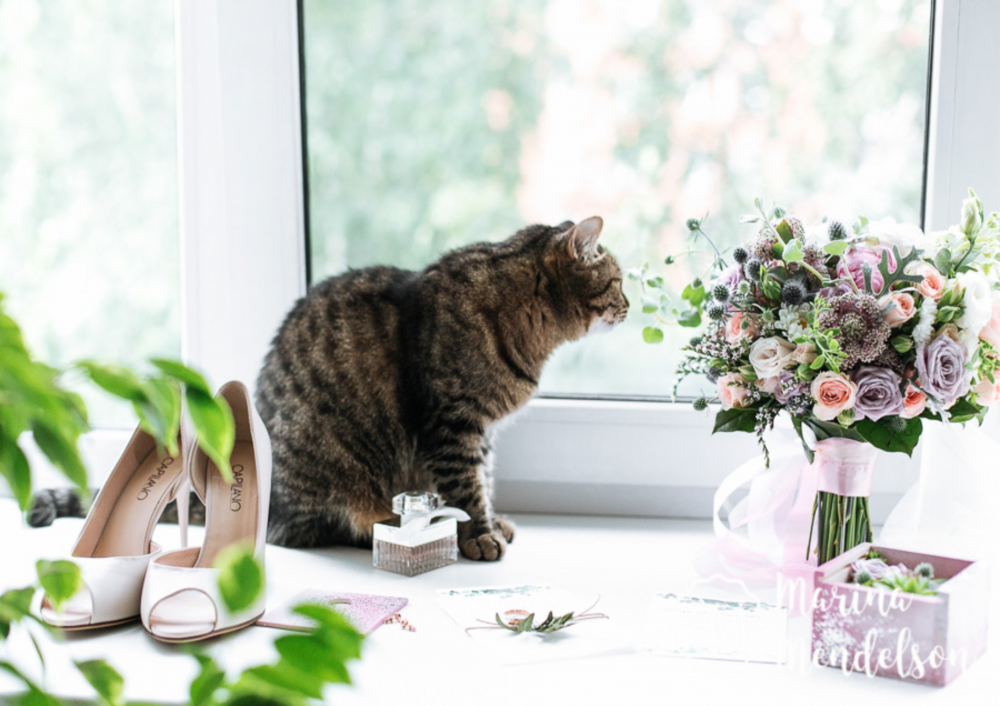 Дмитрий и Кристина