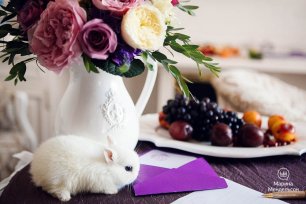 Фиолетовая свадьба Светланы и Никиты