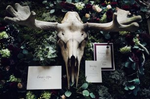 Череп животного в декоре