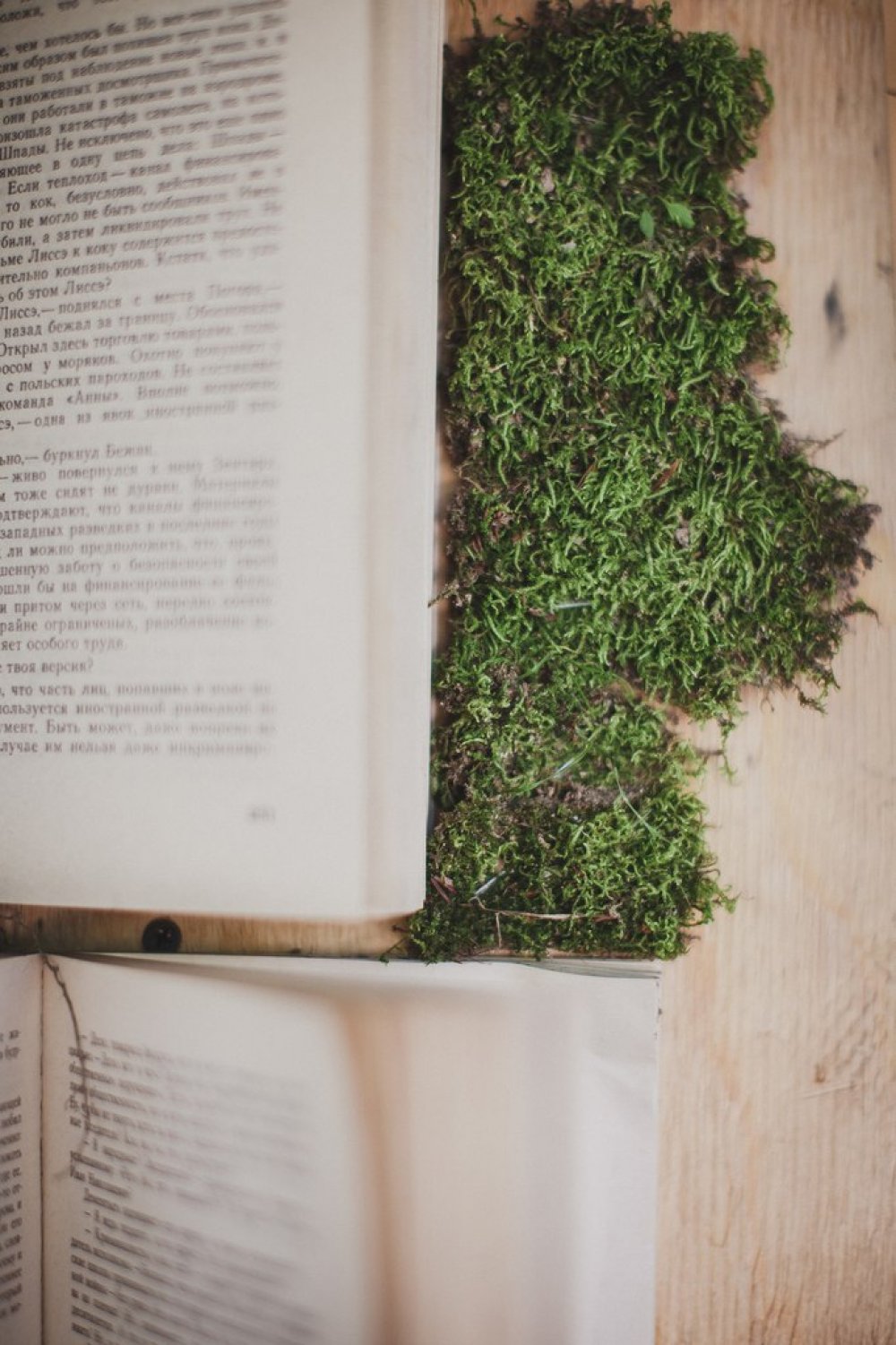 Свадьба в стиле Бохо. Фотозона