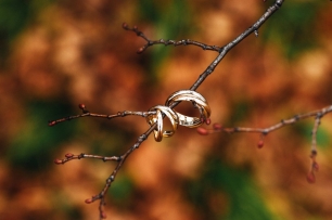 Осенняя свадьба в стиле "Унесенные ветром"