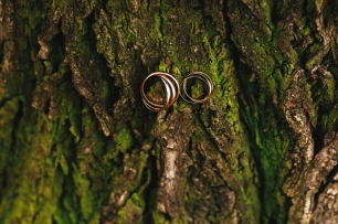 Осенняя свадьба в стиле "Унесенные ветром" в  шатре