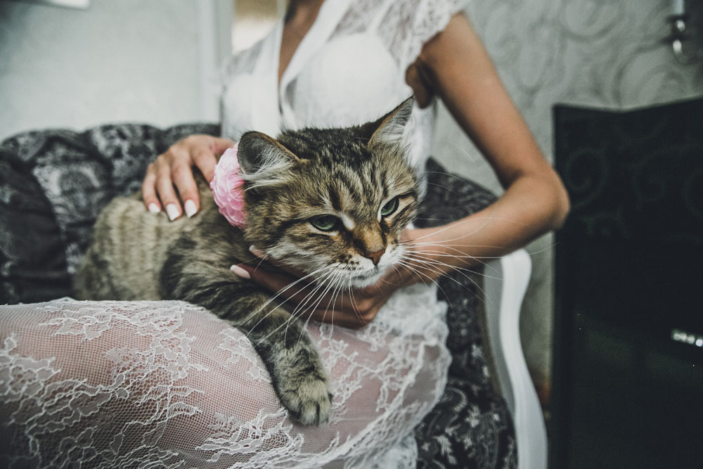 Ксения и Константин, 2016
tenerezza-wedding.ru