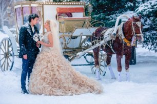 Зимняя сказка