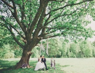 Фотосессия в лесу на поляне: качели, сладкий стол - комод