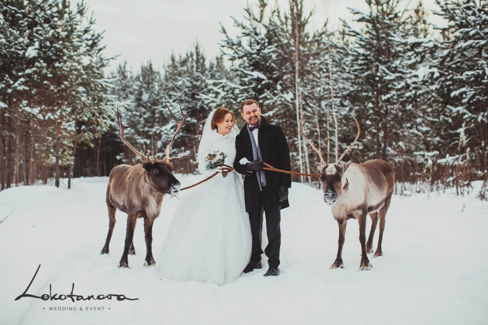 "Северное сияние"