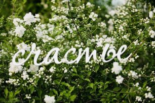 Надпись на свадьбе