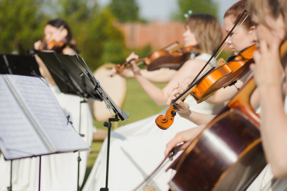 Свадьба Евгения и Галии