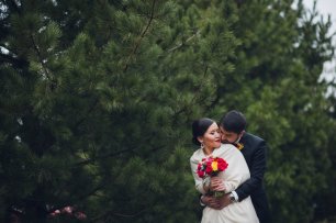 Свадебная прогулка по еловой аллее