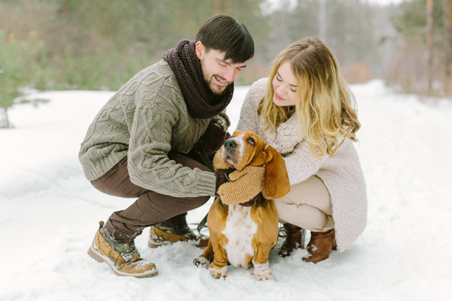 Проведите время с животными 