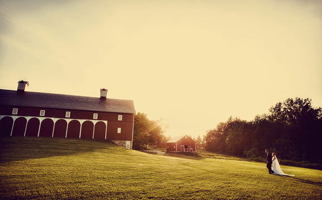 молодожёны вдалеке