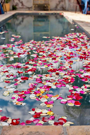 Лепестки роз на свадьбу купить в СПб