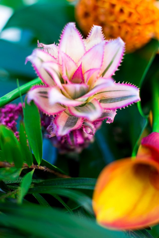 свадьба у бассейна, флористика и декор 