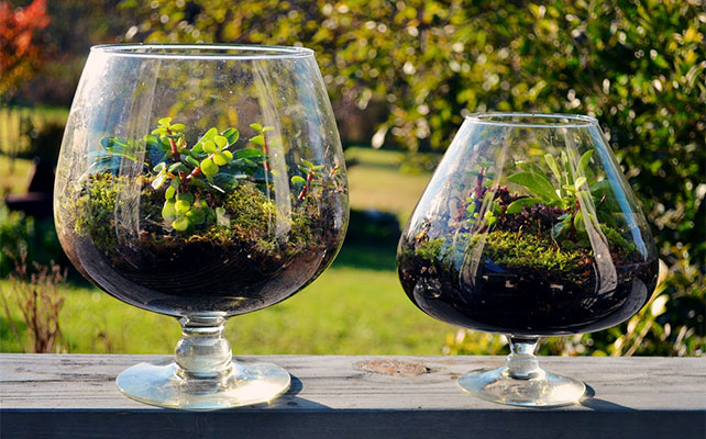 детали свадьбы в эко-стиле