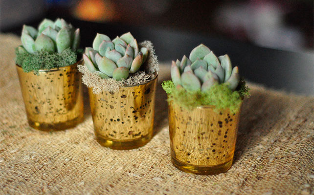 детали свадьбы в эко-стиле