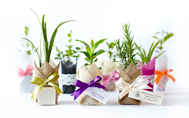 детали свадьбы в эко-стиле