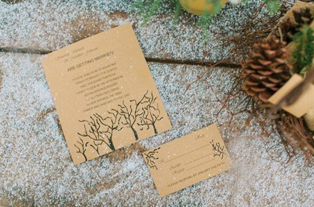 115 свадебных идей для зимнего настроения 