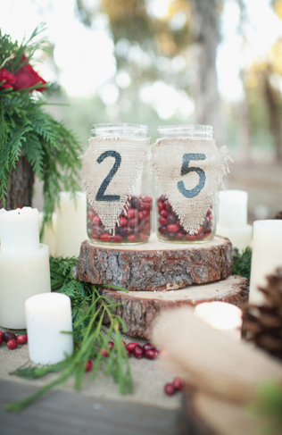 115 свадебных идей для зимнего настроения 