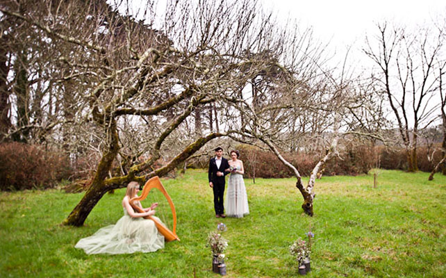 12 идей для незабываемой свадьбы, арфа на свадьбе