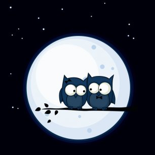 20 секретов, как получить удовольствие от первой брачной ночи