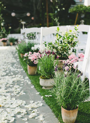 тренды свадебной флористики 2021, горшечные растения в декоре свадьбы