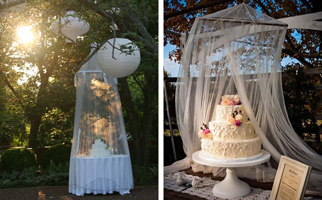 идеи для выездной регистрации, защита сладостей от насекомых