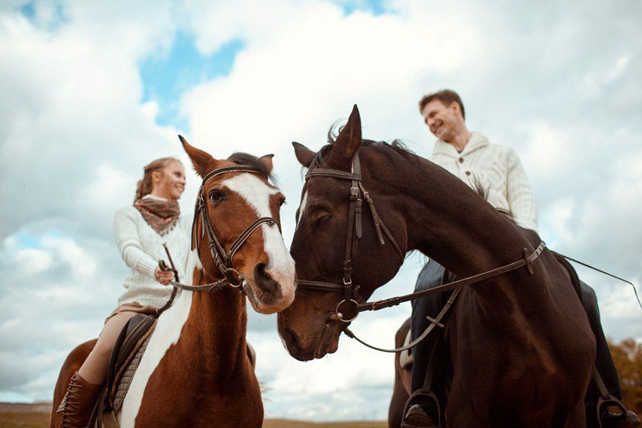 фотосессия love story с лошадьми 