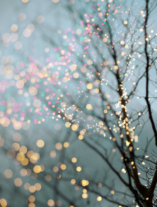 романтичная зимняя свадьба, ветки деревьев в огоньках 