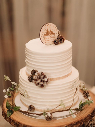 романтичная зимняя свадьба, зимний свадебный  торт 