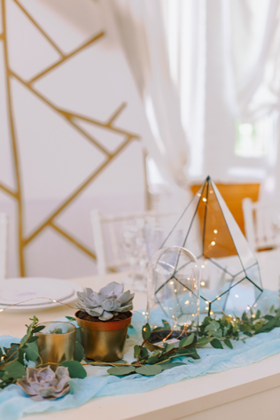 свадебный декор с суккулентами, фотограф КСЕНИЯ ДЕЙЧ