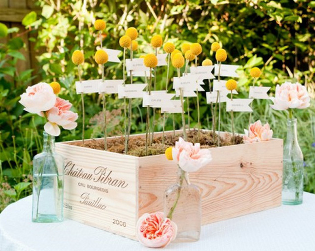 сухоцветы на свадьбе, краспедия в декоре свадьбы 