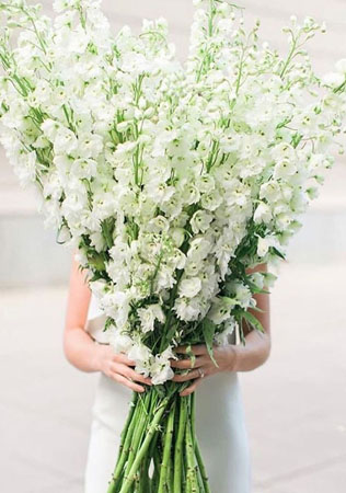 высокий букет невесты, свадебный букет 2021, букет из цветов с высокими стеблями 