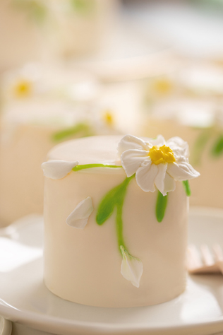 Полевые цветы