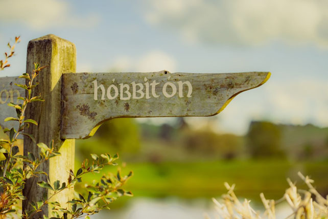 Свадьба в стиле Властелина Колец 