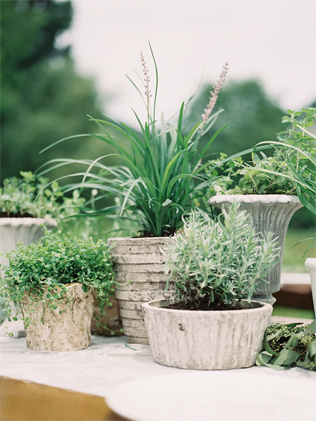 Фишка свадьбы: зелень. Идеи и вдохновение